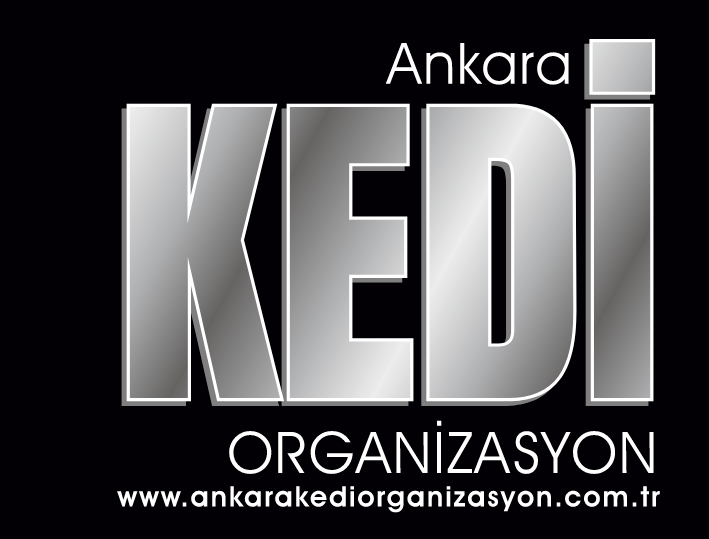 Ankara Kedi Organizasyon